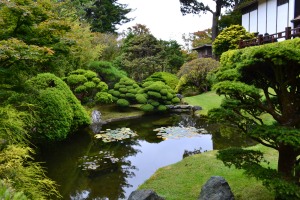 Japanese Tea Garden, SF