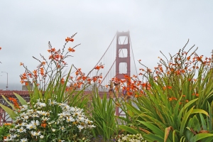 golden Gate bridge, SF